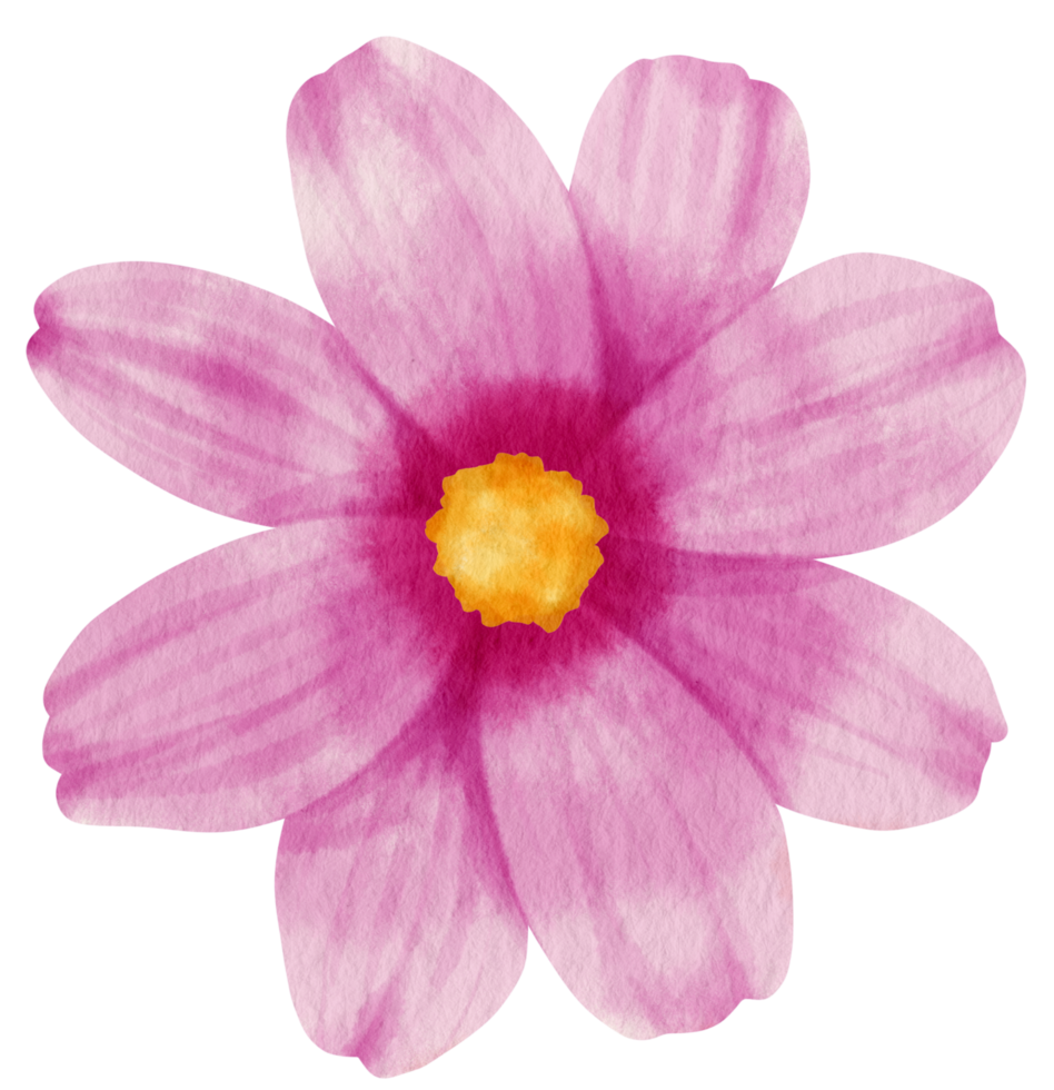 Pink flower watercolor painted for Decorative Element png