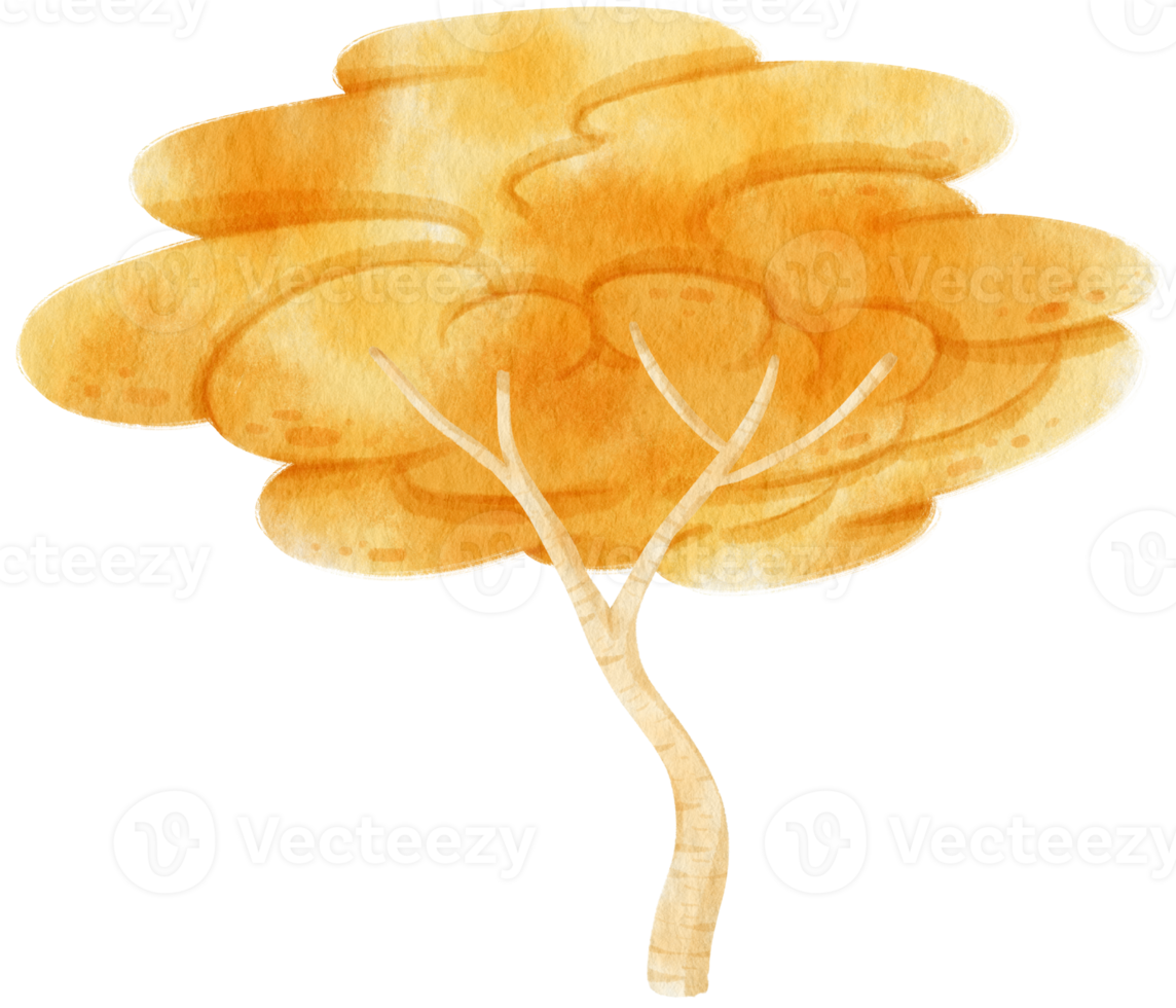 Autumn Tree with Yellow leaves watercolor illustration for Decorative Element png