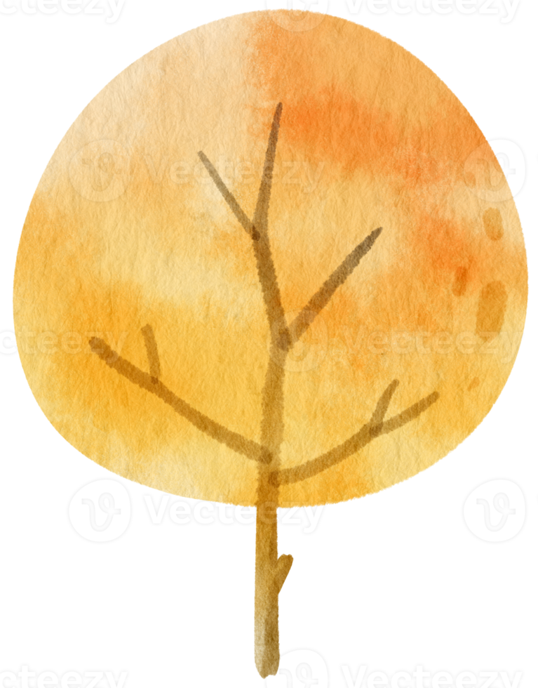 Autumn Tree with Yellow leaves watercolor illustration for Decorative Element png