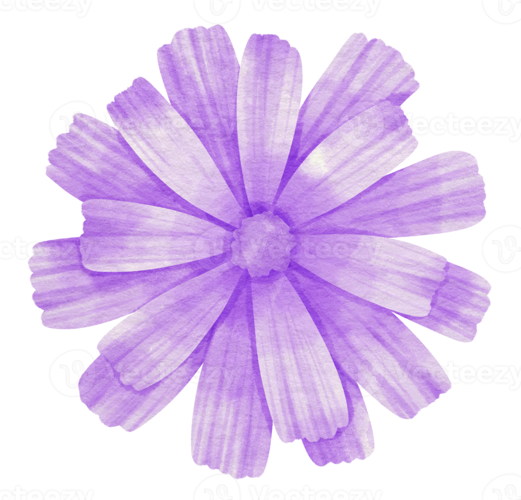 Purple flower watercolor painted for Decorative Element png