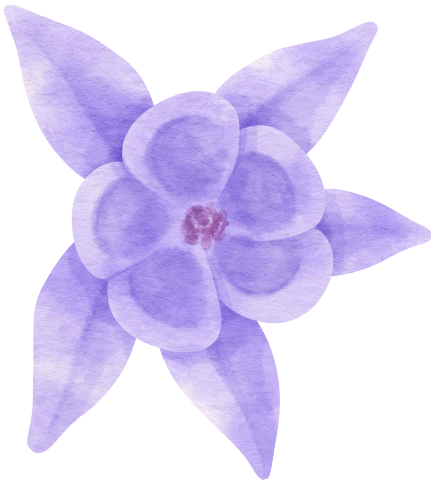 aquarelle de fleur pourpre peinte pour élément décoratif png