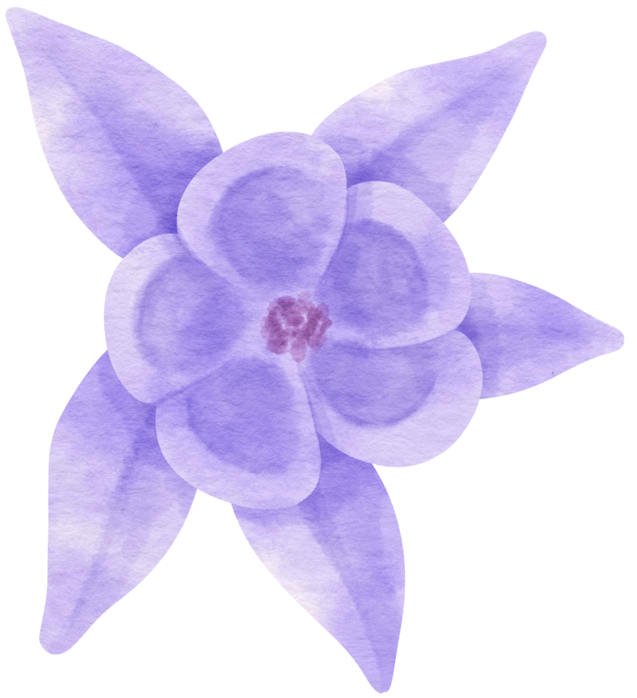 Purple flower watercolor painted for Decorative Element png