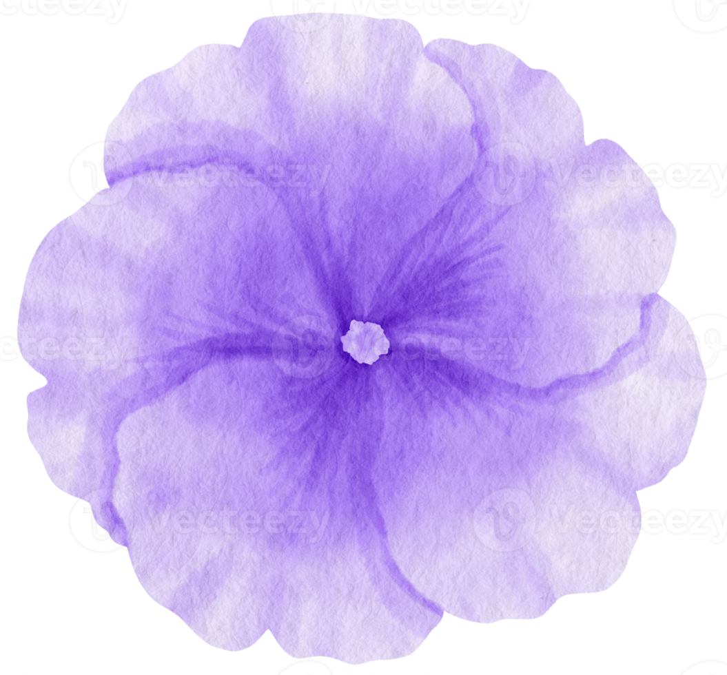 Purple flower watercolor painted for Decorative Element png