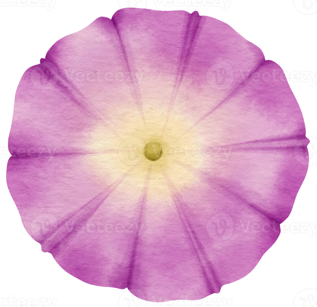 Purple flower watercolor painted for Decorative Element png