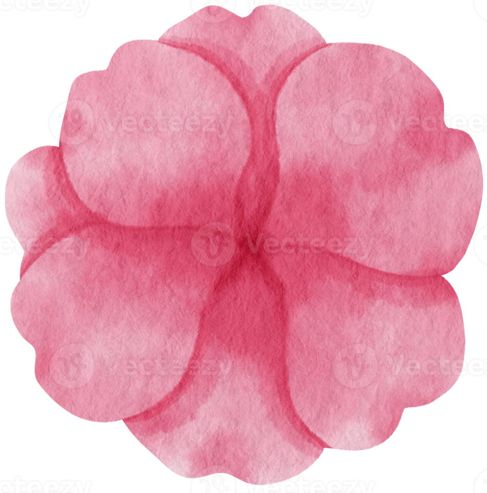 aquarela de flor rosa pintada para elemento decorativo png