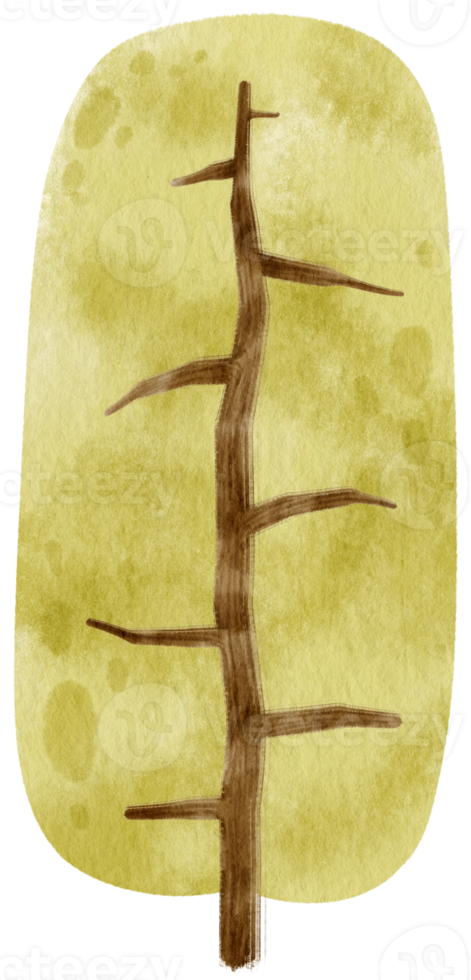 Tree watercolor illustration for Decorative Element png