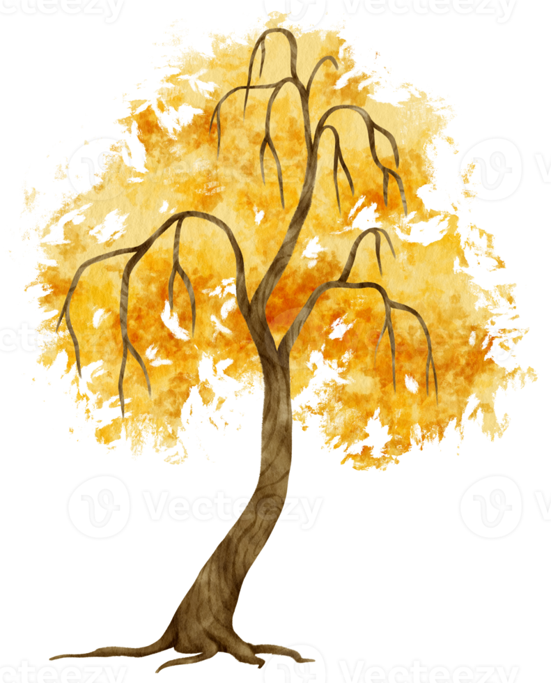 Autumn Tree with Yellow leaves watercolor illustration for Decorative Element png