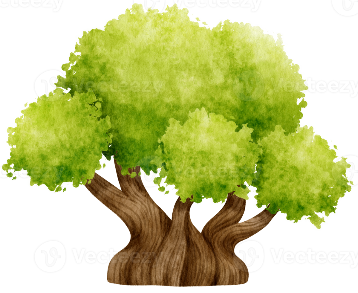Tree watercolor illustration for Decorative Element png