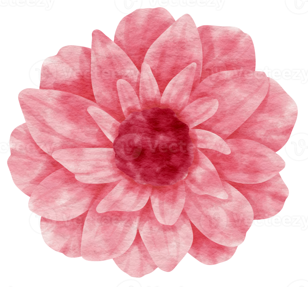 Pink flower watercolor painted for Decorative Element png