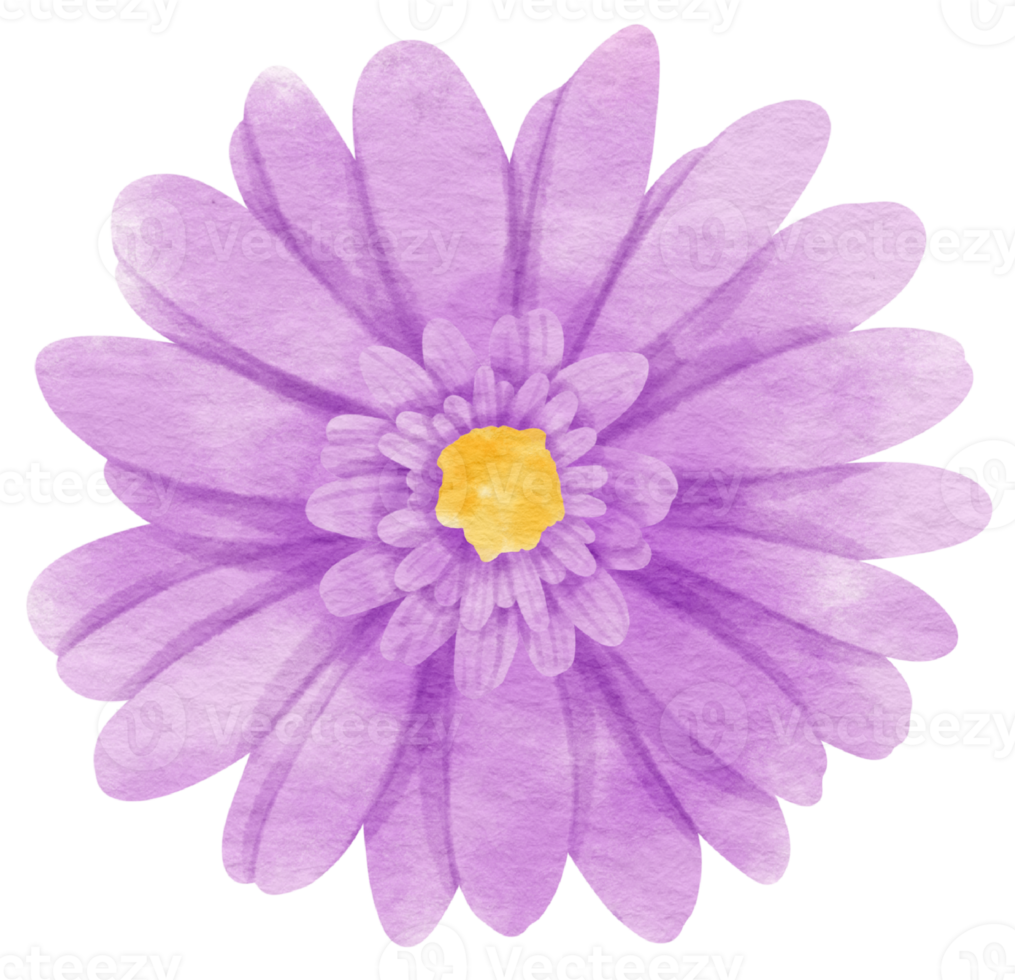 Purple flower watercolor painted for Decorative Element png