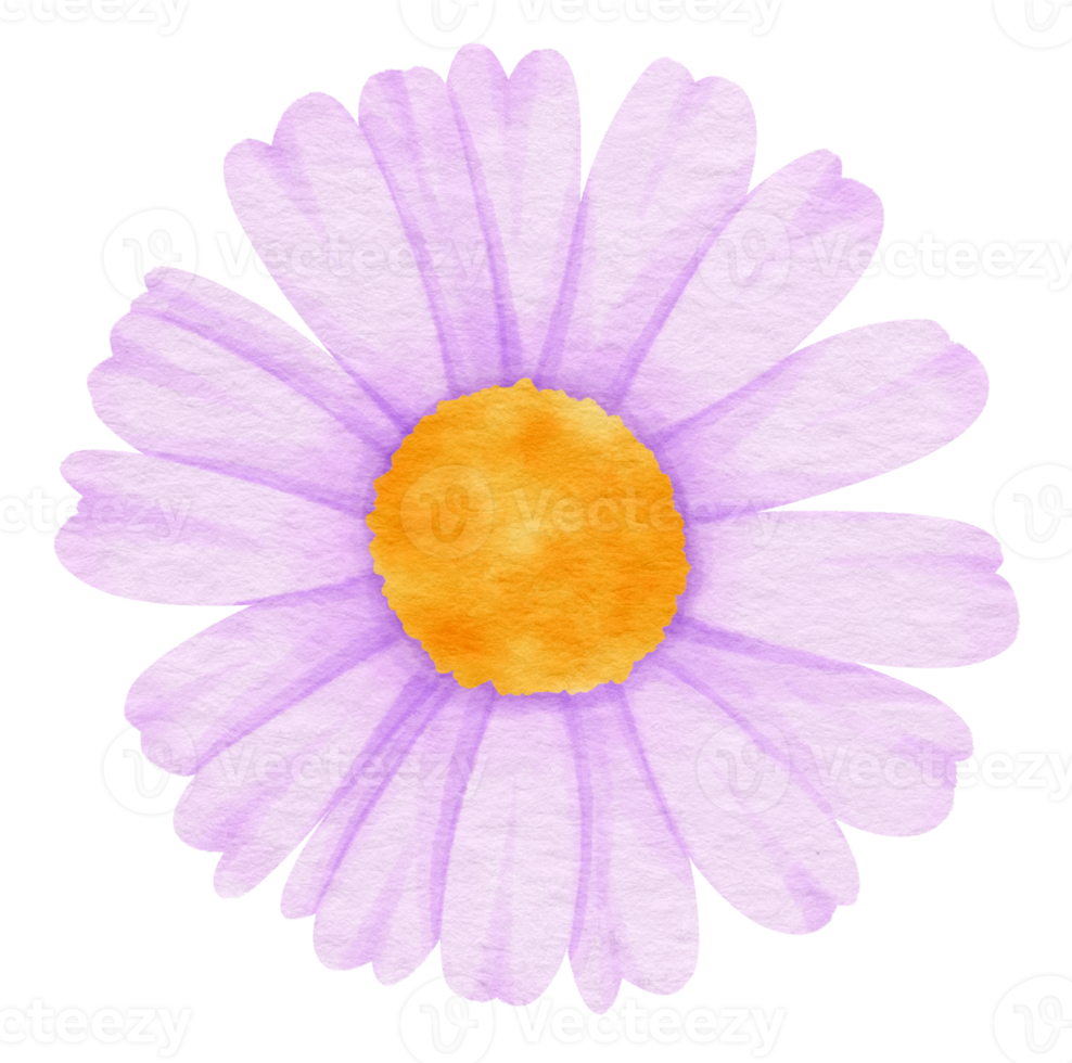 fiore viola dipinto ad acquerello per elemento decorativo png