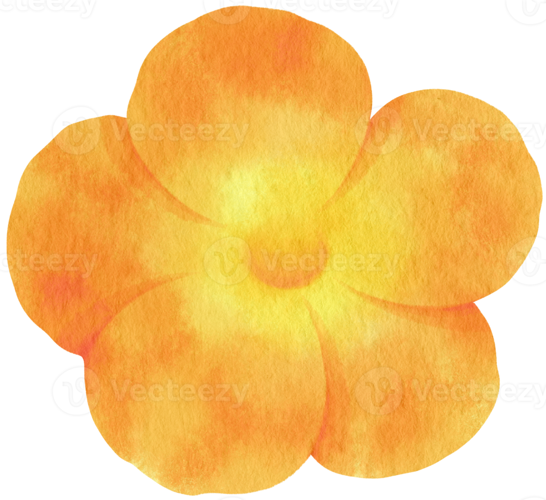 vackra orange blommor akvarell illustration png