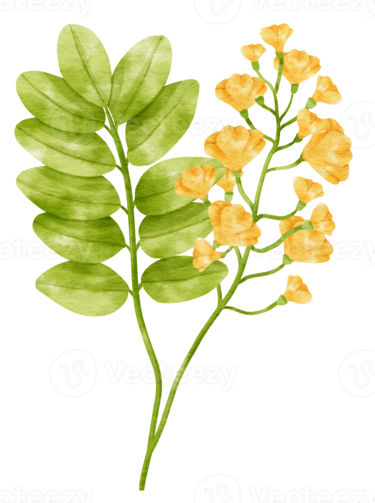 zweig der gelben blumenblüte mit blattaquarellart für dekoratives element png