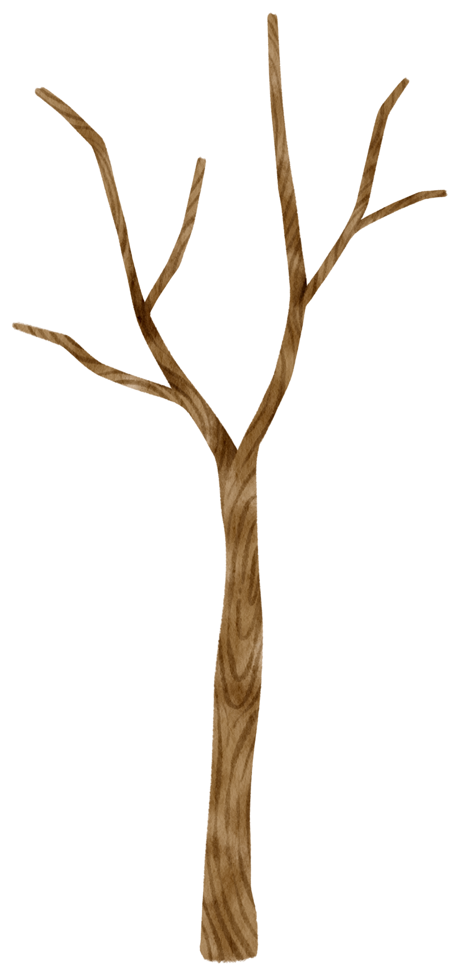 Leafless dead tree dry tree watercolor illustration for Decorative