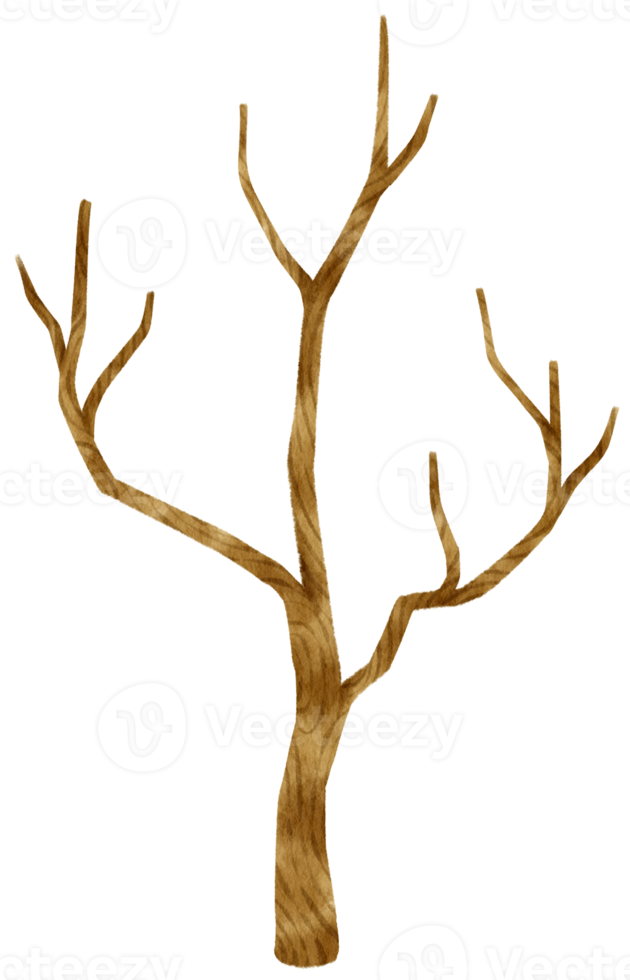 Leafless dead tree dry tree watercolor illustration for Decorative Element png