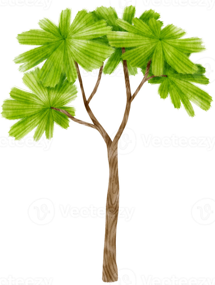 baumaquarellillustration für dekoratives element png