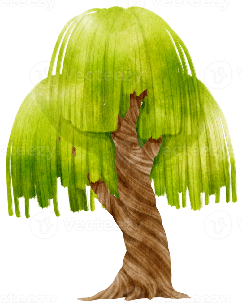 ilustración de acuarela de árbol para elemento decorativo png