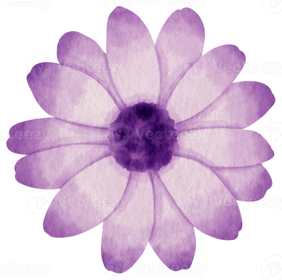 Purple flower watercolor painted for Decorative Element png