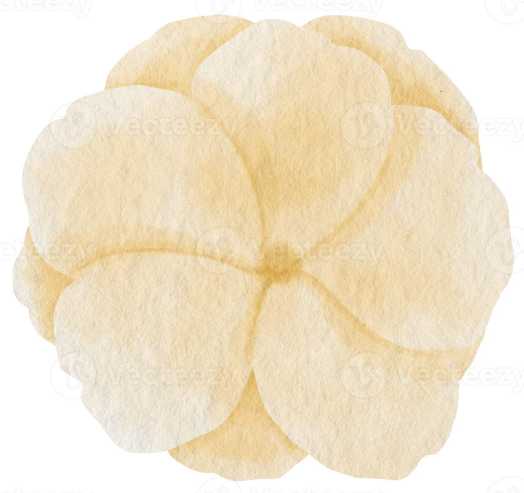 White flower watercolor painted for Decorative Element png