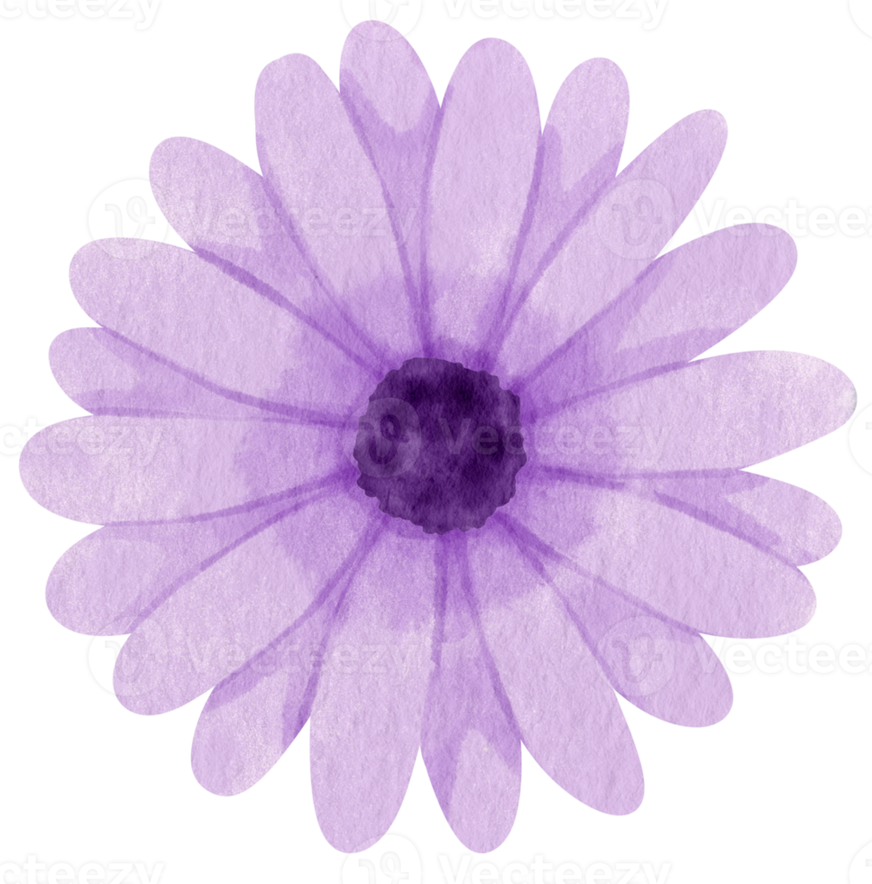 Purple flower watercolor painted for Decorative Element png