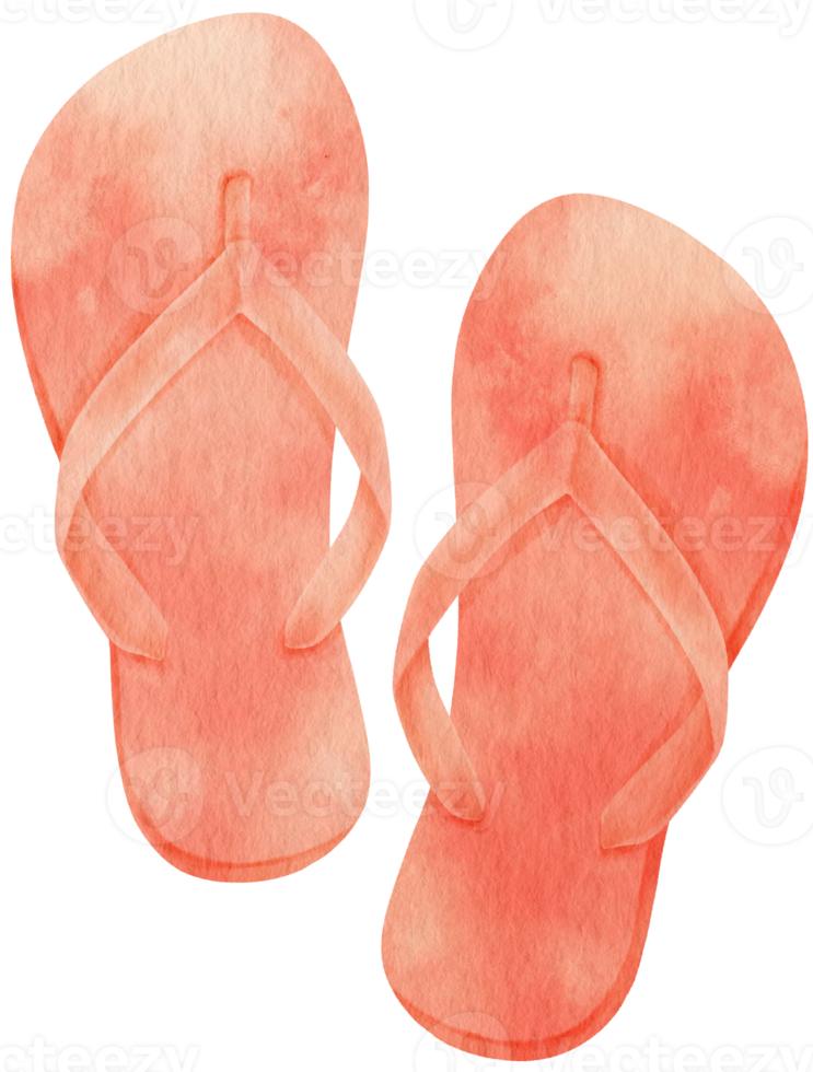 Sandals watercolor illustration for Summer Decorative Element png