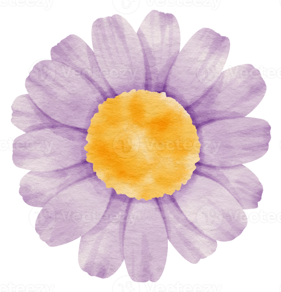 Purple flower watercolor painted for Decorative Element png