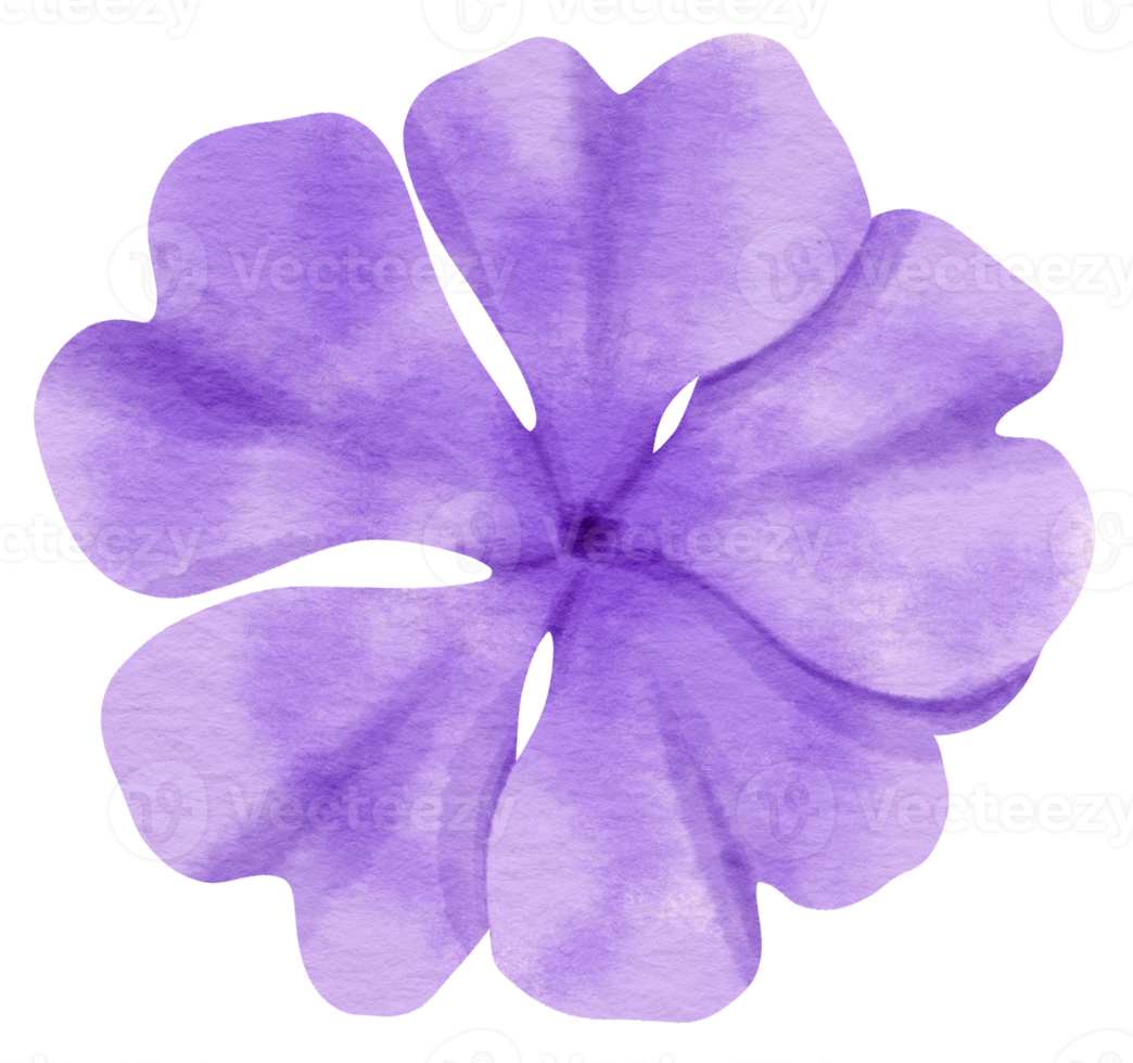 Purple flower watercolor painted for Decorative Element png