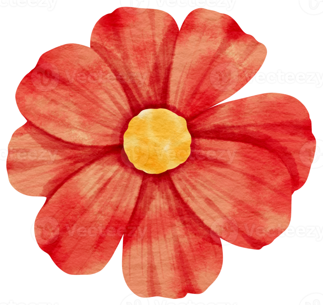 Red flower watercolor painted for Decorative Element png