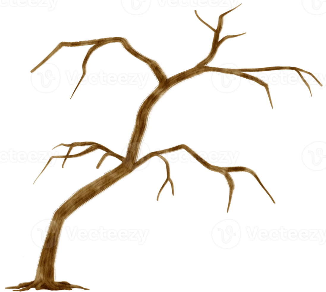 Blattloser toter Baum trockene Baumaquarellillustration für dekoratives Element png