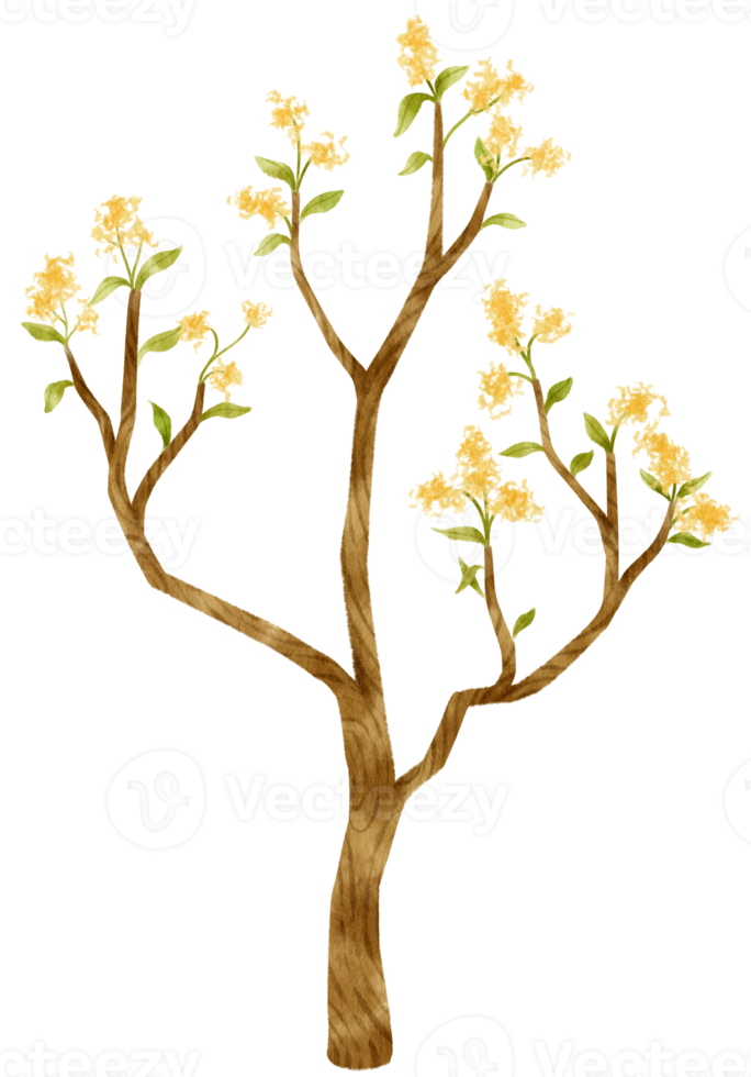Autumn Tree with Yellow flowers watercolor illustration for Decorative Element png