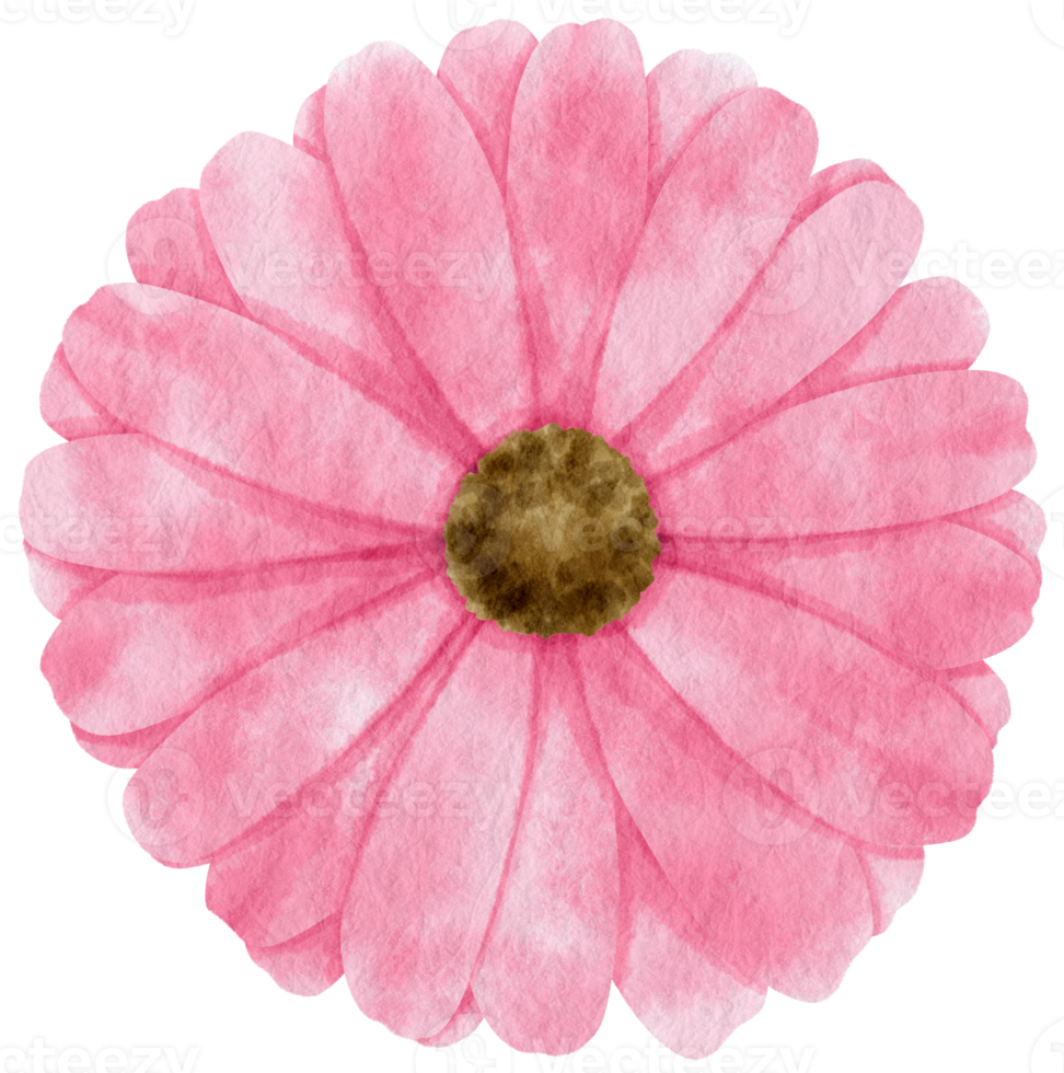Pink flower watercolor painted for Decorative Element png