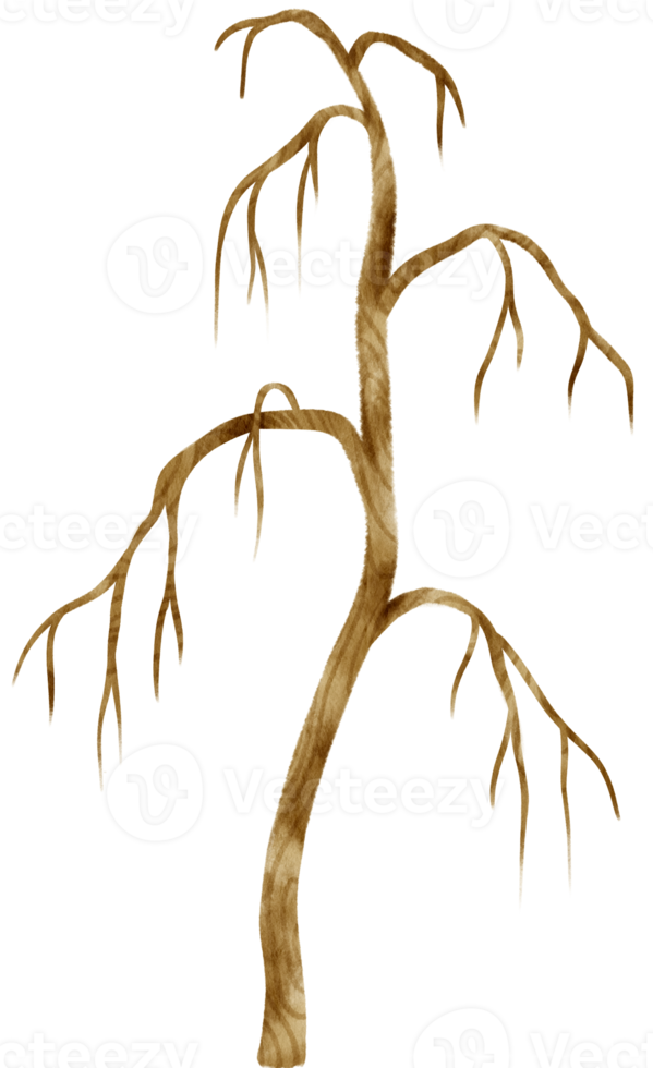 ilustração em aquarela de árvore seca de árvore morta sem folhas para elemento decorativo png