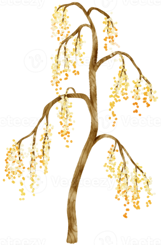 Autumn Tree with Yellow flowers watercolor illustration for Decorative Element png