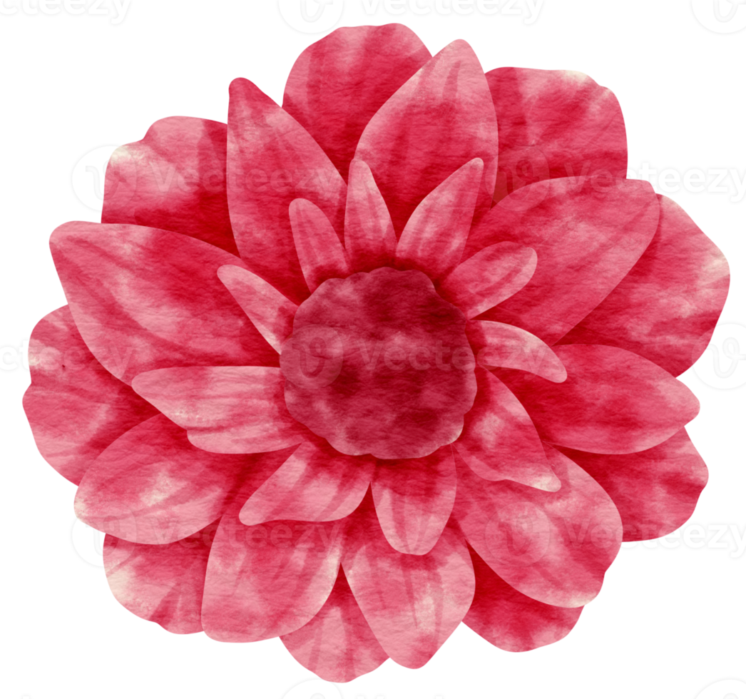 Pink flower watercolor painted for Decorative Element png