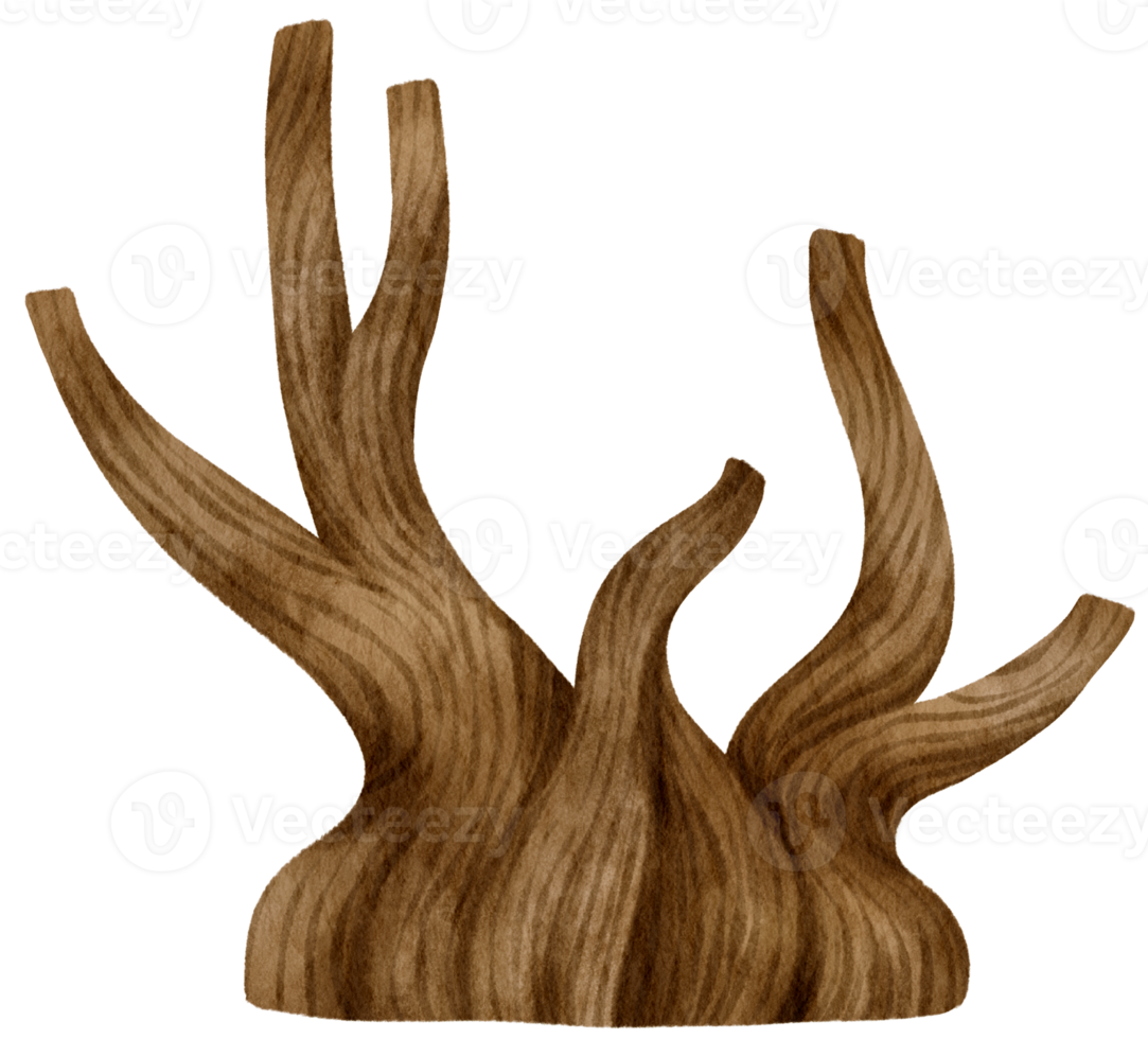 illustrazione dell'acquerello dell'albero secco dell'albero morto senza foglie per elemento decorativo png