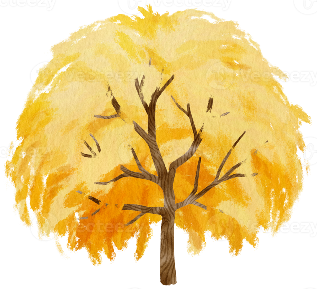 Autumn Tree with Yellow leaves watercolor illustration for Decorative Element png