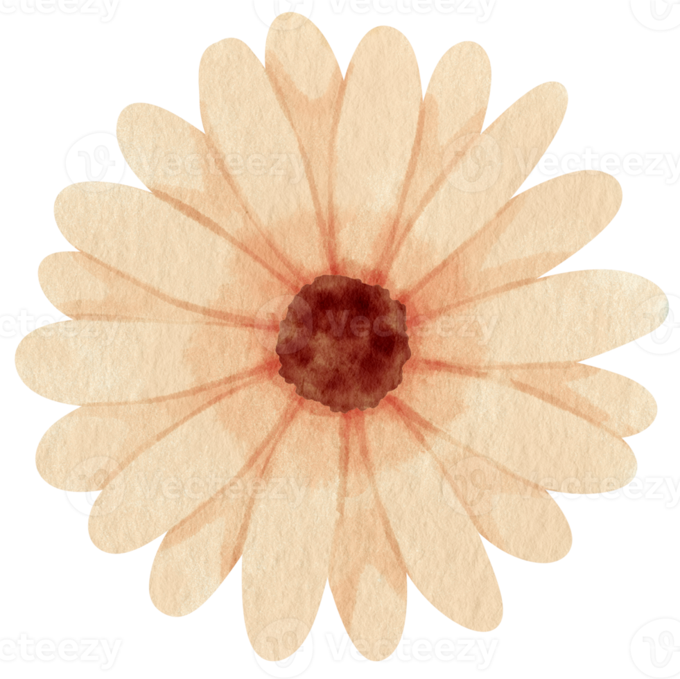 White flower watercolor painted for Decorative Element png