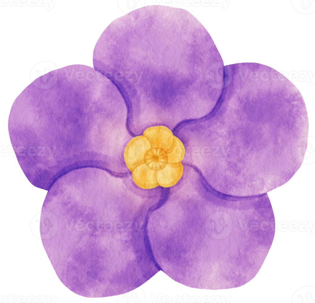 Purple flower watercolor painted for Decorative Element png