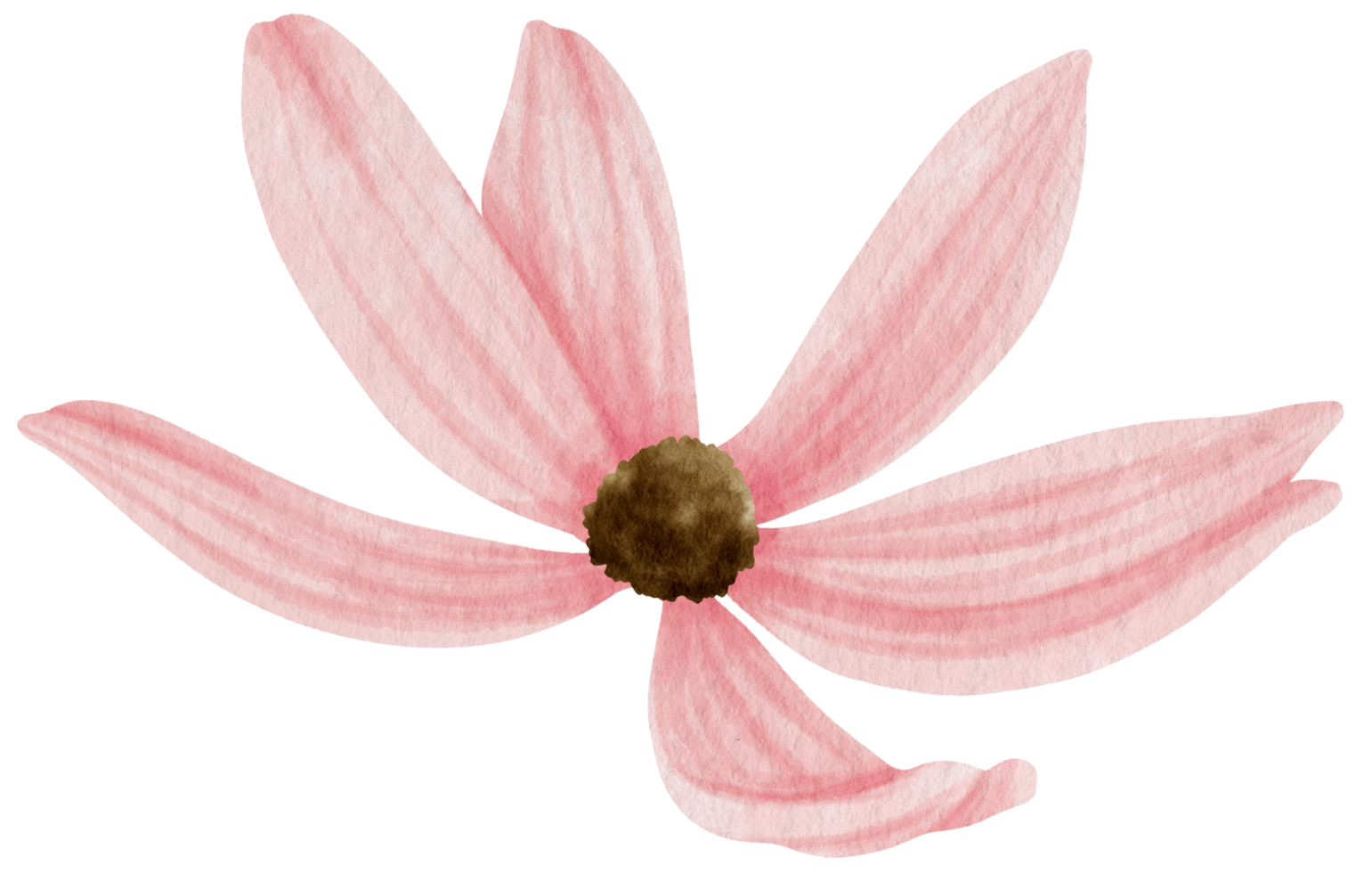 Pink flower watercolor style for Decorative Element png