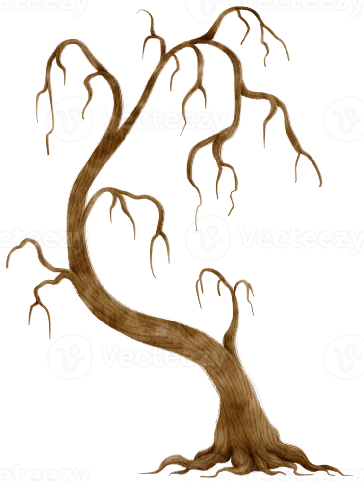 bladlösa döda träd torra träd akvarell illustration för dekorativa element png