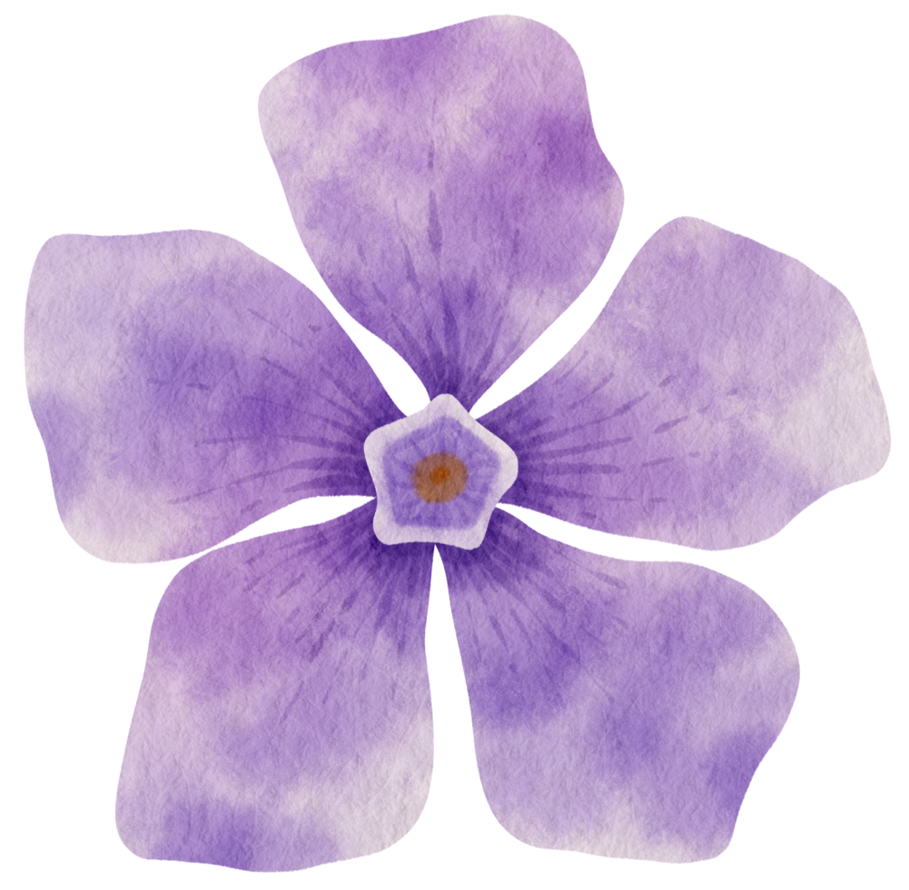 aquarela de flor roxa pintada para elemento decorativo png