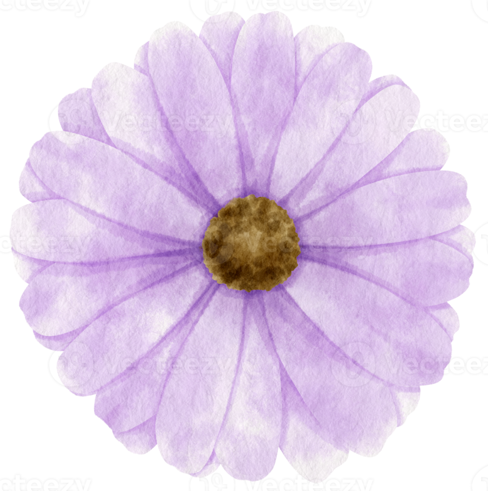 Purple flower watercolor painted for Decorative Element png