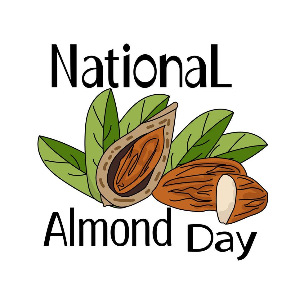 National Almond Day, nuts in shell and without and thematic inscription 9788913 Vector Art at