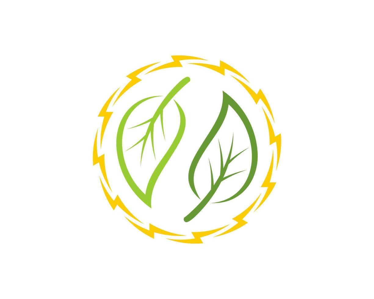Circular lightning with two leaf inside vector