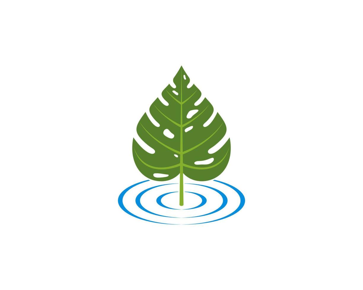 Monstera leaf on the water puddle logo vector