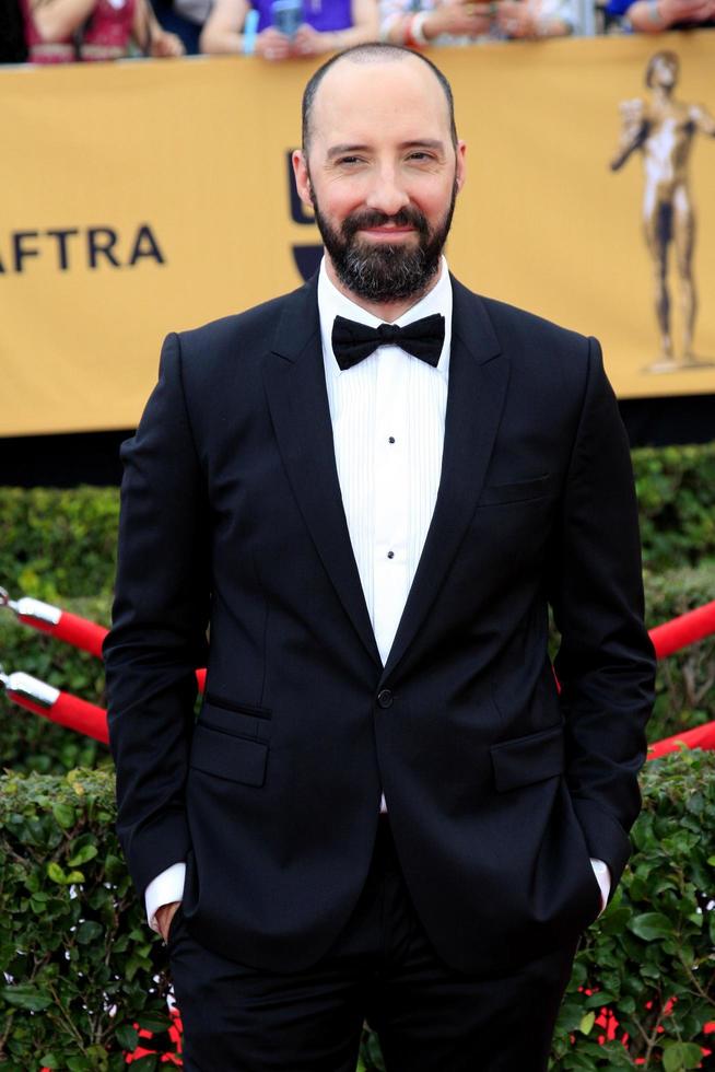 LOS ANGELES, JAN 25 - Tony Hale at the 2015 Screen Actor Guild Awards at the Shrine Auditorium on January 25, 2015 in Los Angeles, CA photo