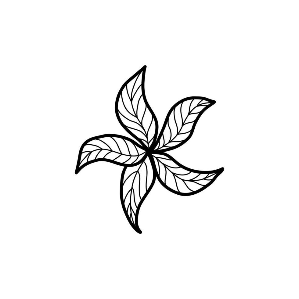 Starfish sketch. Vector illustration in the style of a doodle