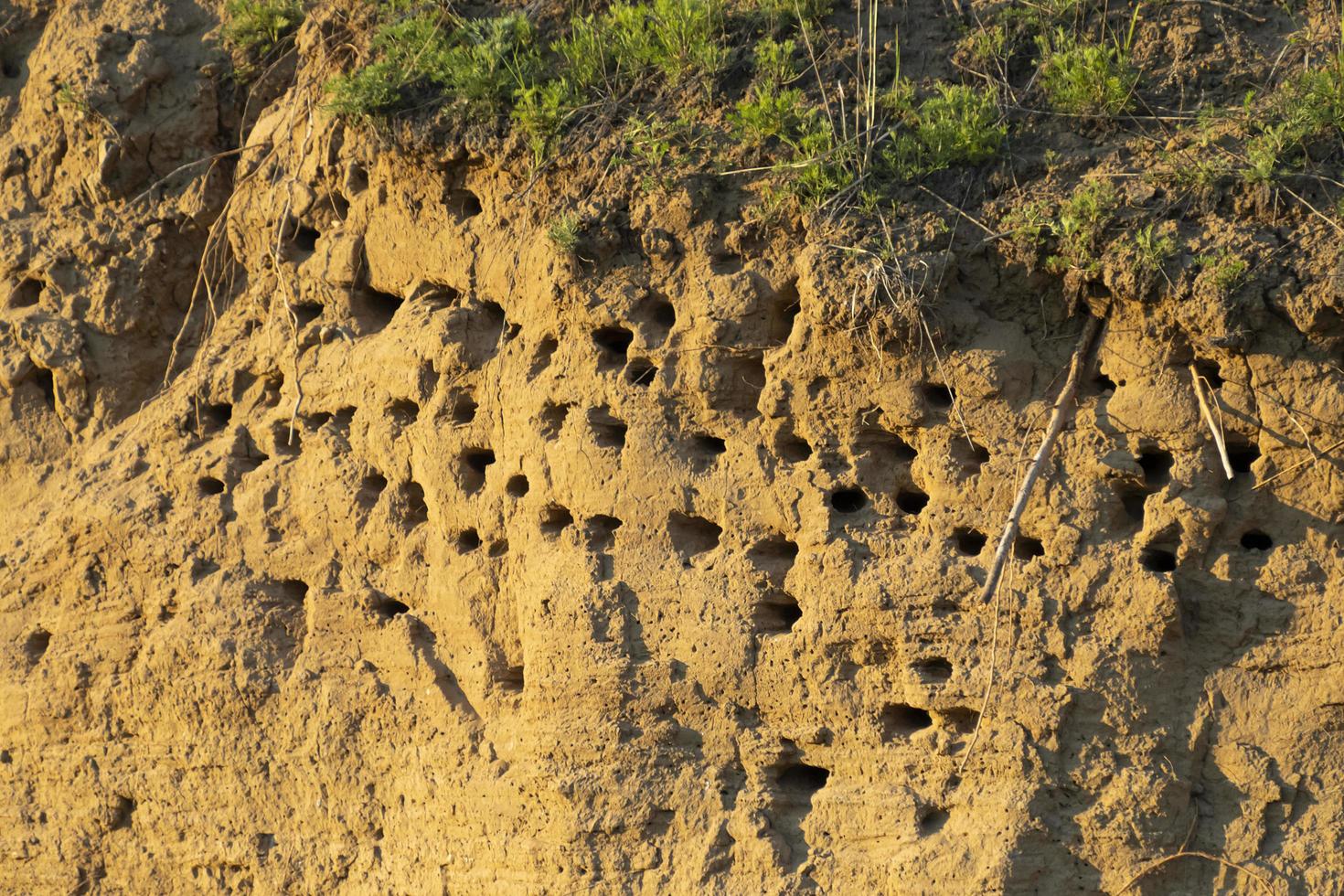 Swallows' nests in the sheer mountain photo