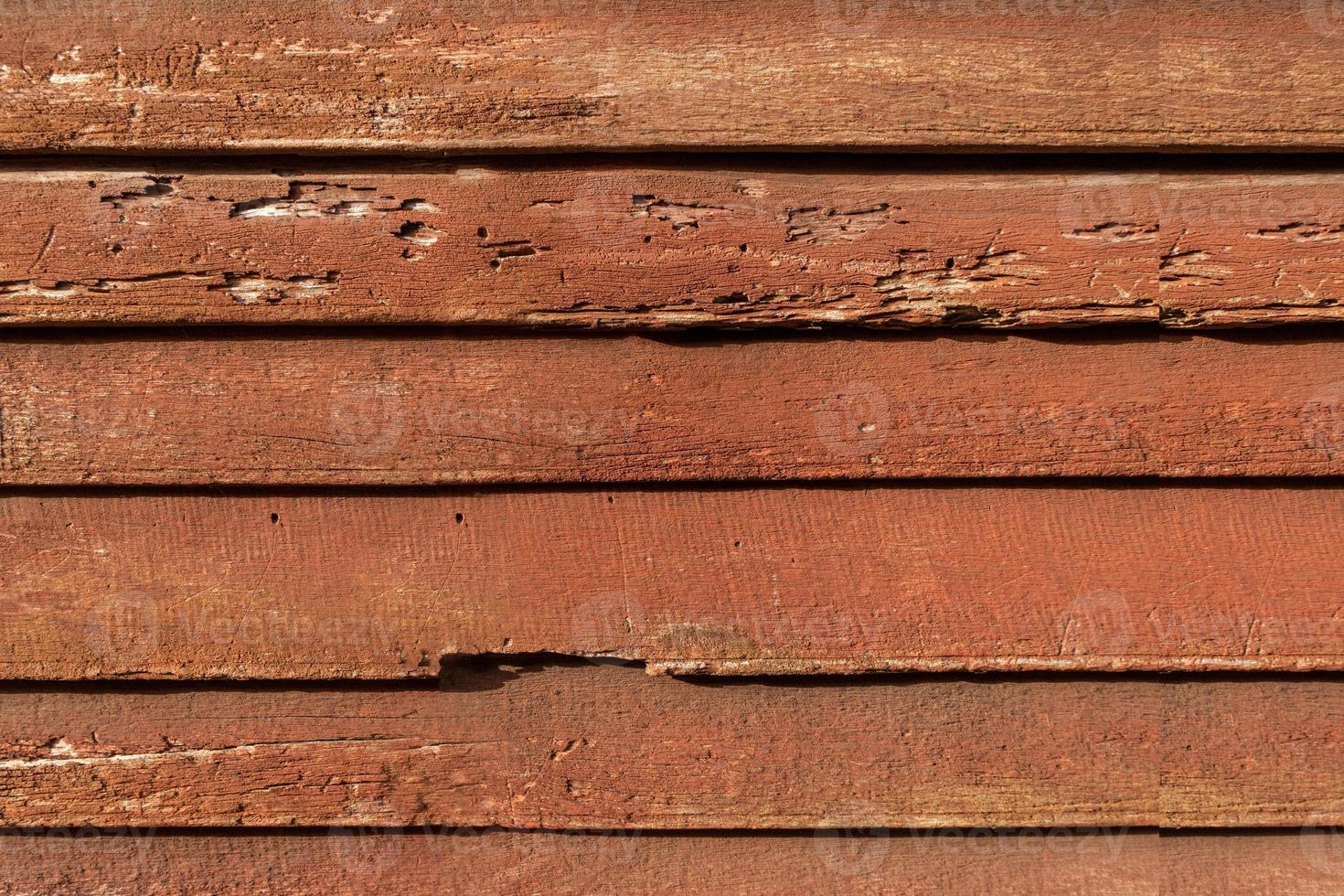 Close-up bright wood texture. Old wood surface with abstract texture motif photo