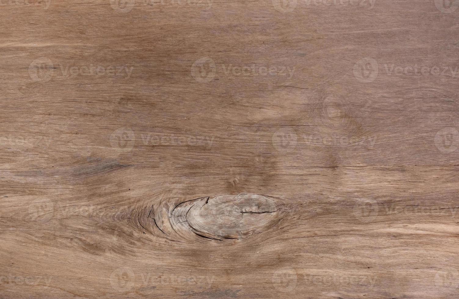 Close-up bright wood texture. Old wood surface with abstract texture motif photo